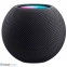 Apple HomePod mini Space Gray (MY5G2) 0