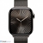 Смарт-годинник Apple Watch Series 10 GPS + Cellular 46mm Slate Titanium Case with Slate Milanese Loop - S/M (MC7R4) 2